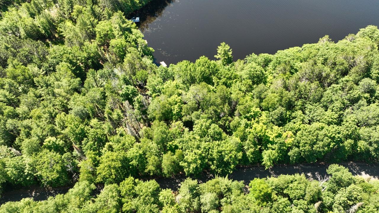 Lot A Luebbing Road Three Lakes, WI 54562 - Photo 8 of 14