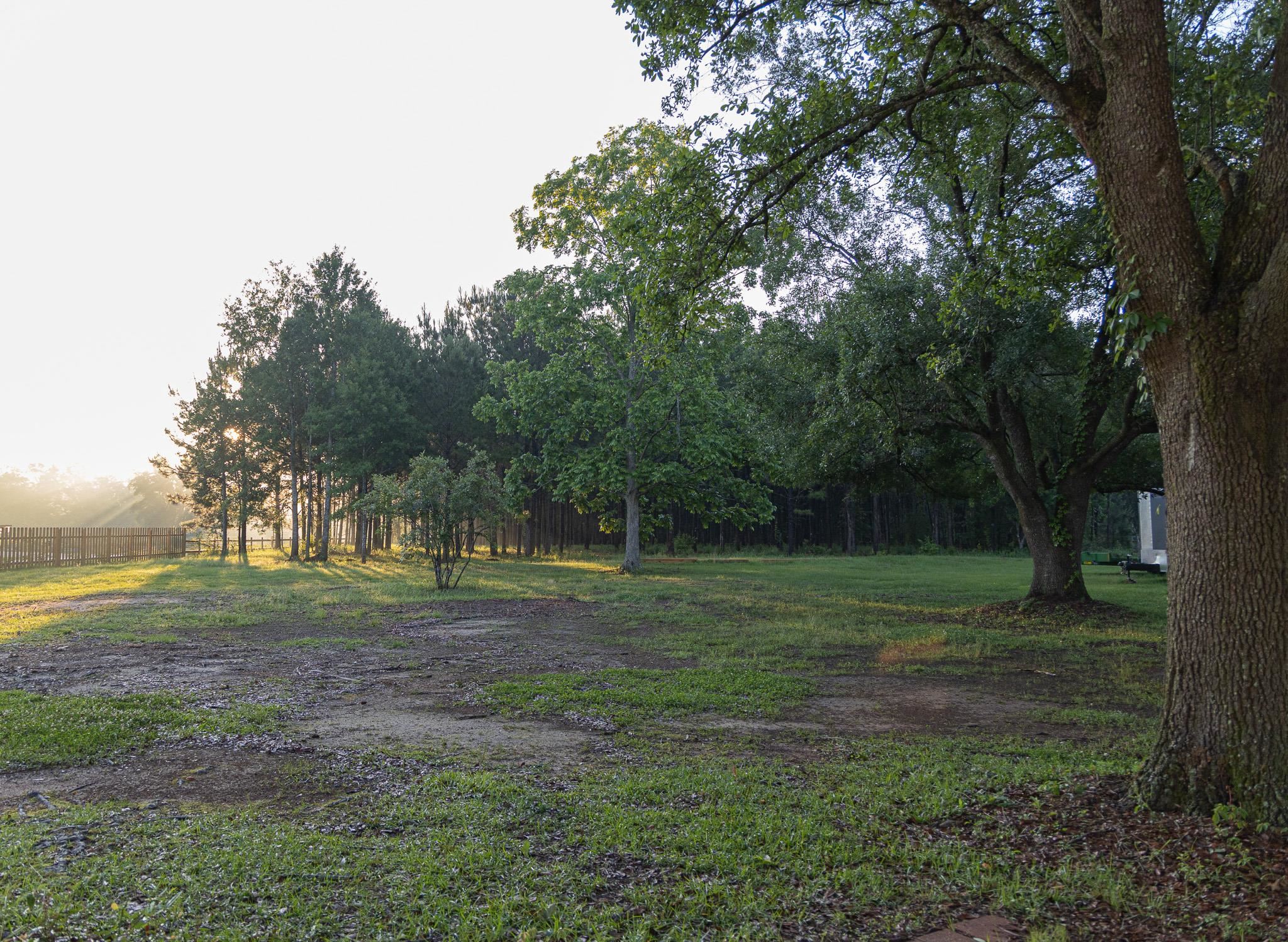 19690 Lawrence Road Fairhope, AL 36532 - Photo 66 of 73 Yard