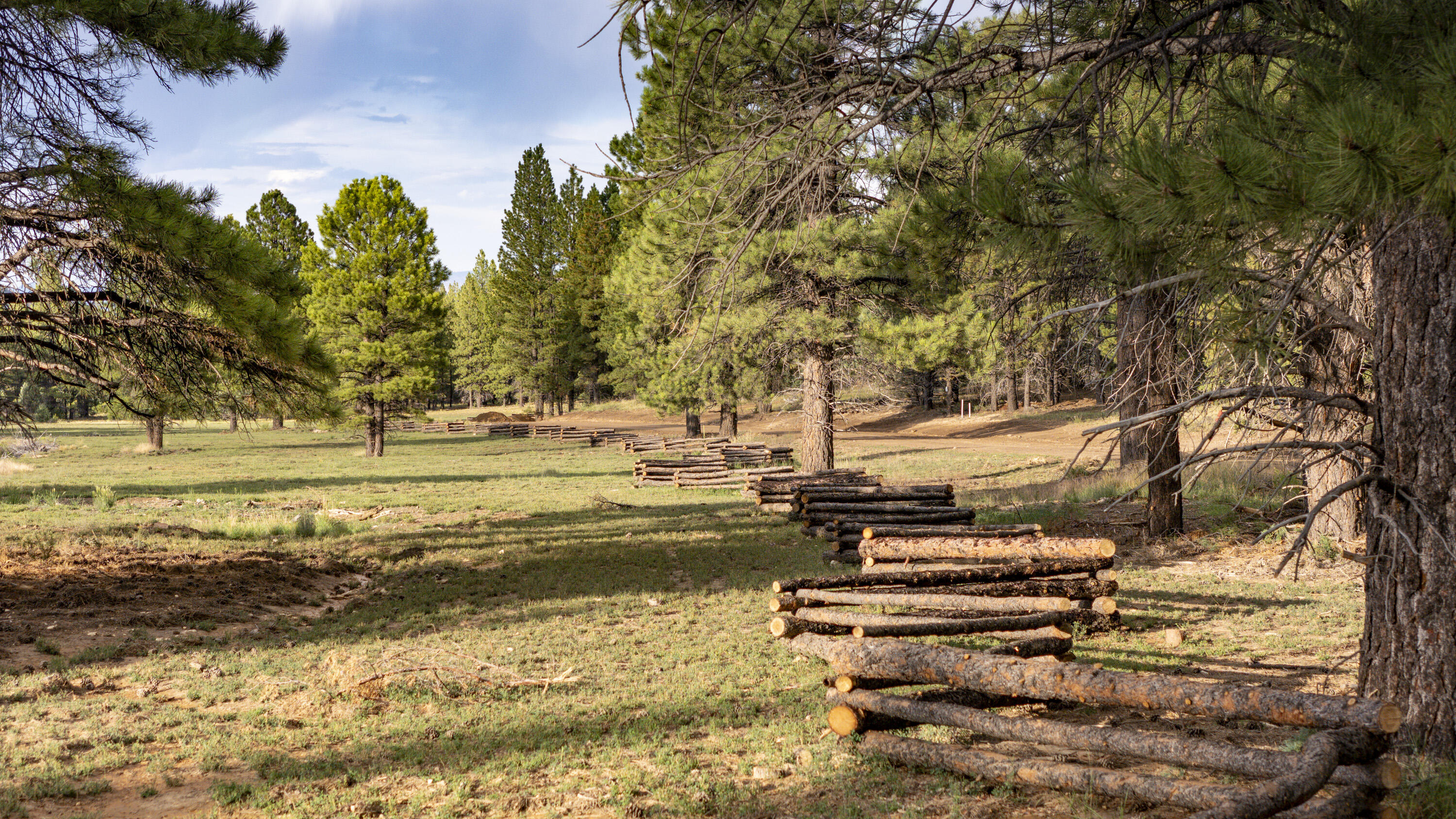 Lot # Elk Ridge Estates Alton, UT 84710 - Photo 2 of 5 Wildlife meadow view