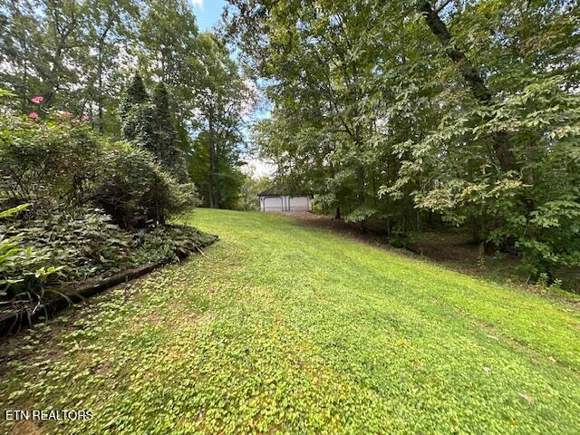 348 Ridge Road Baxter, KY 40806 - Photo 6 of 31 Back yard