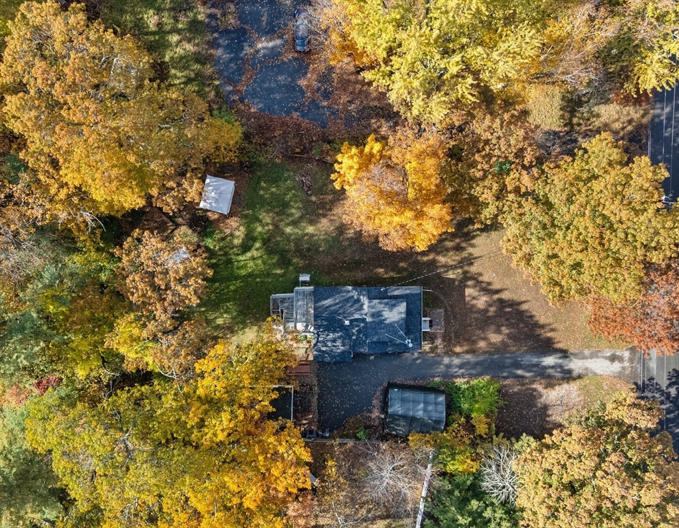 80 Brandy Brow Road Haverhill, MA 01830 - Photo 28 of 33 a view of a plants with a yard