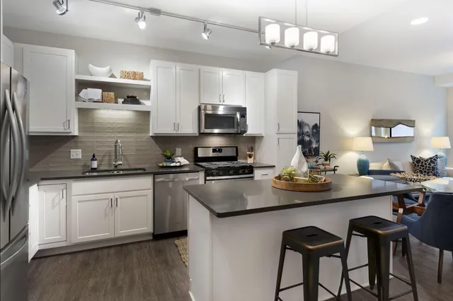 $2,448 | 212 10th Avenue South, Unit 1110, Minneapolis, MN 55415