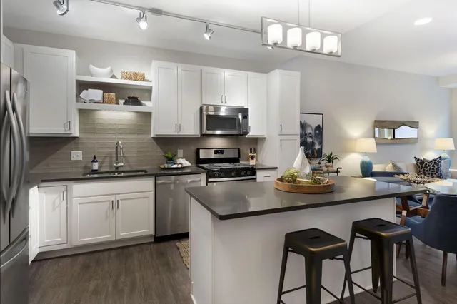 $2,448 | 212 10th Avenue South, Unit 1110, Minneapolis, MN 55415