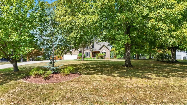 a view of a tree in the middle of a yard