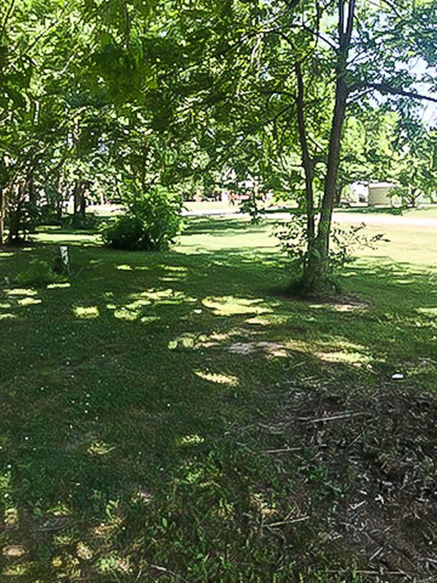 222 Fillmore Street Worden, IL 62097 - Photo 3 of 3