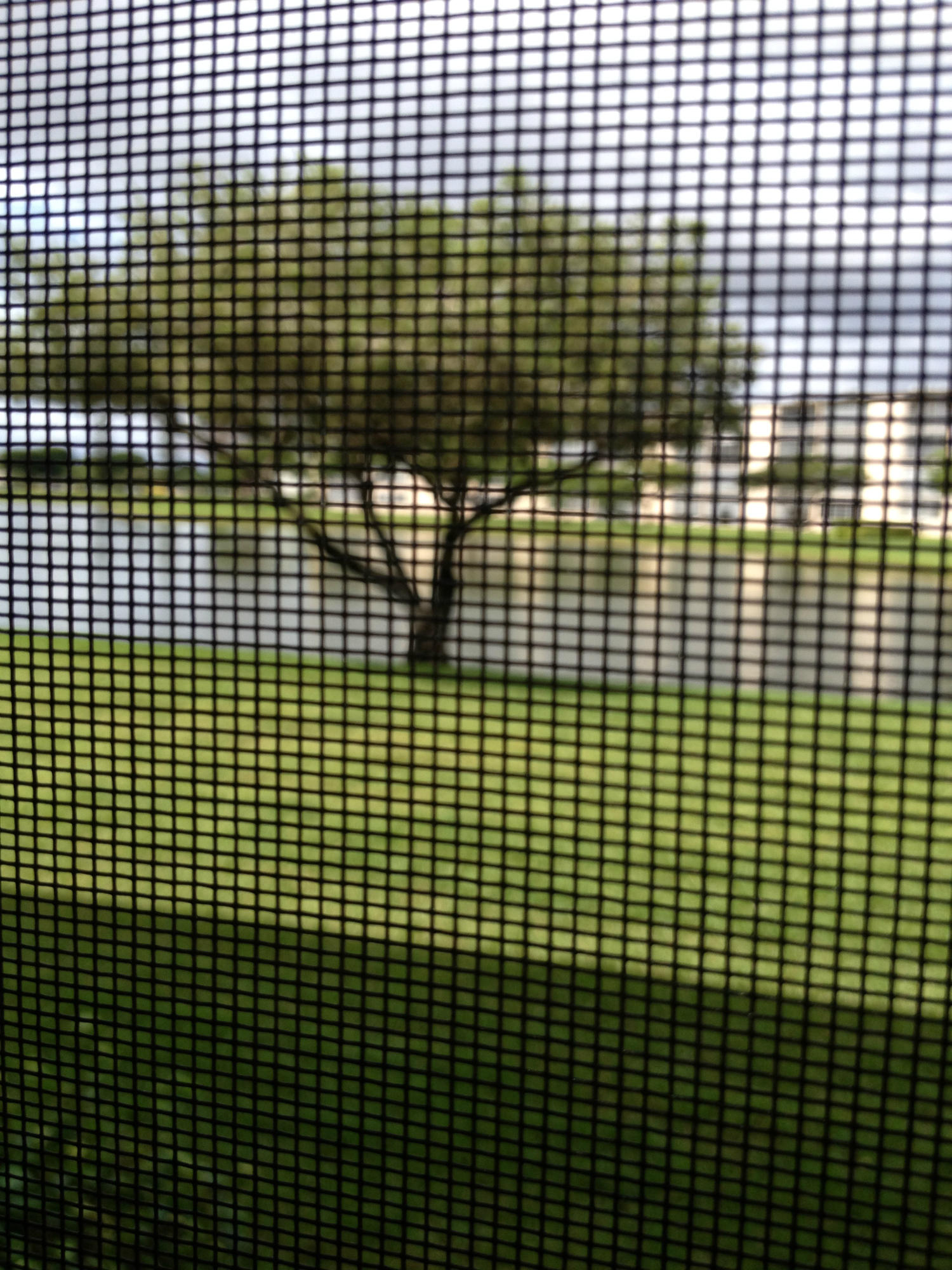 1040 Guildford East, Unit C Boca Raton, FL 33434 - Photo 9 of 12 View