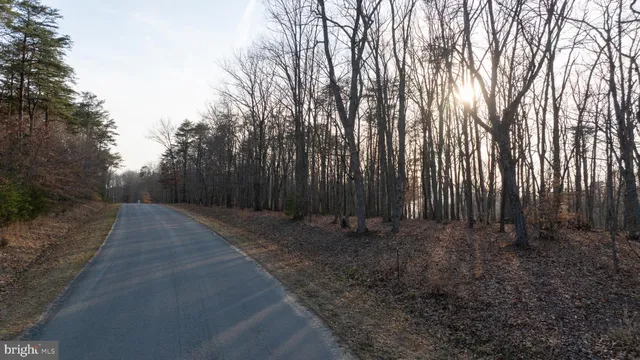 $889,000 | 2 Alma Gaynelle Drive, Unit A, Mineral, VA 23117