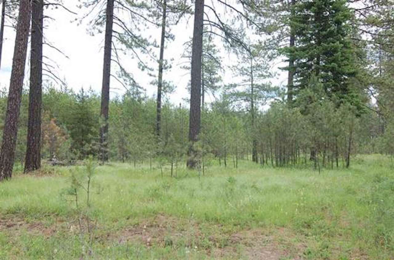 Xxx19 West Montgomery Road, Unit TRACT 19 Deer Park, WA 99006 - Photo 2 of 3