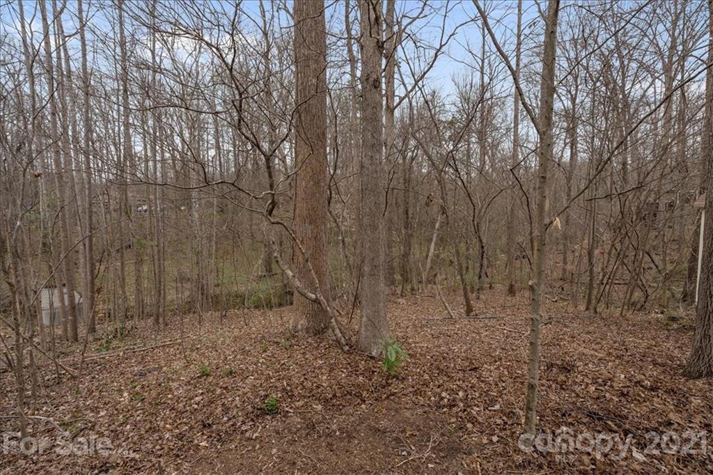 841 Creek Bluff Road Rock Hill, SC 29732 - Photo 39 of 39 Gallery Image 39