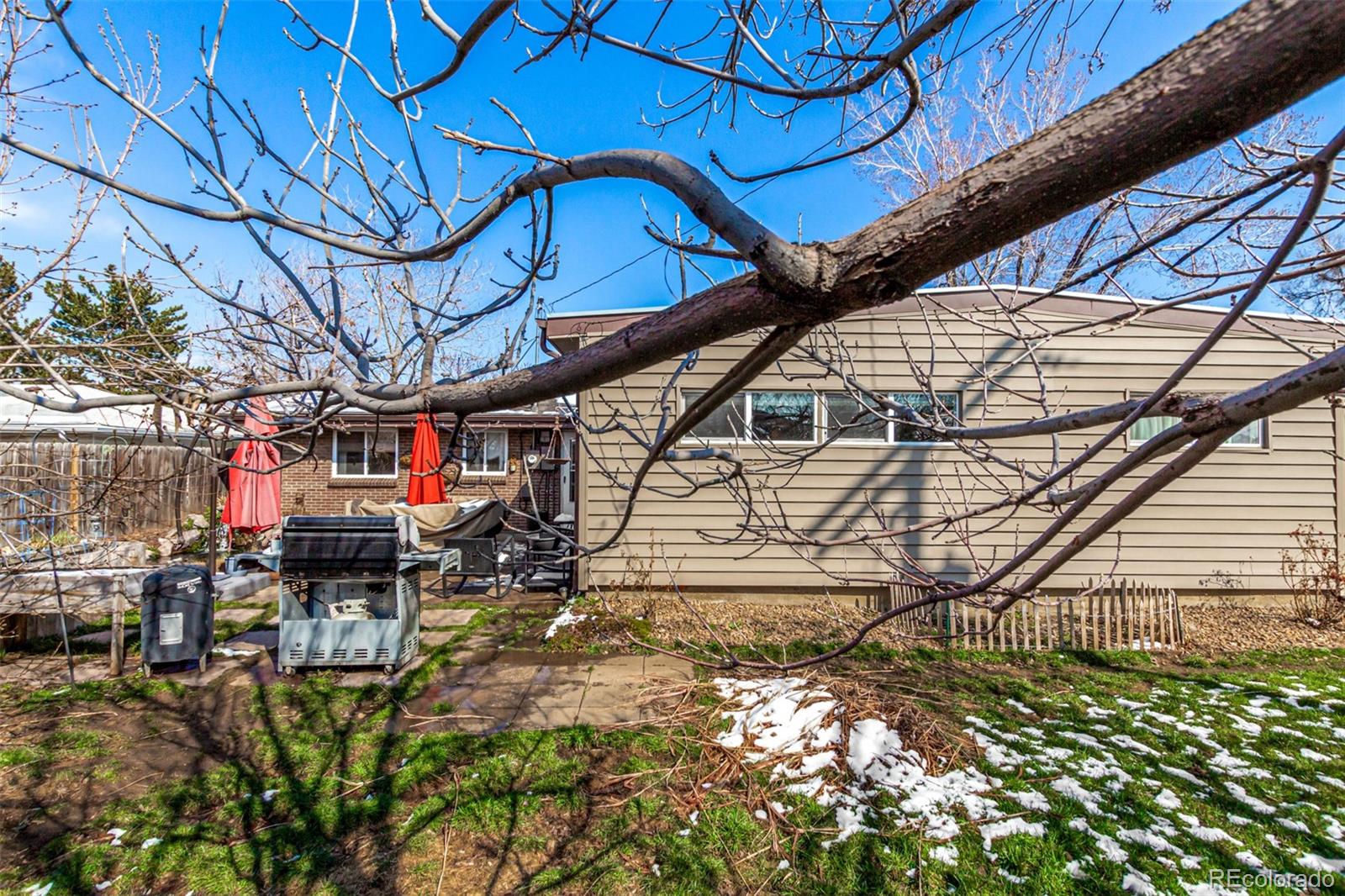 4761 Cody Street Wheat Ridge, CO 80033 - Photo 38 of 50 Gallery Image 38