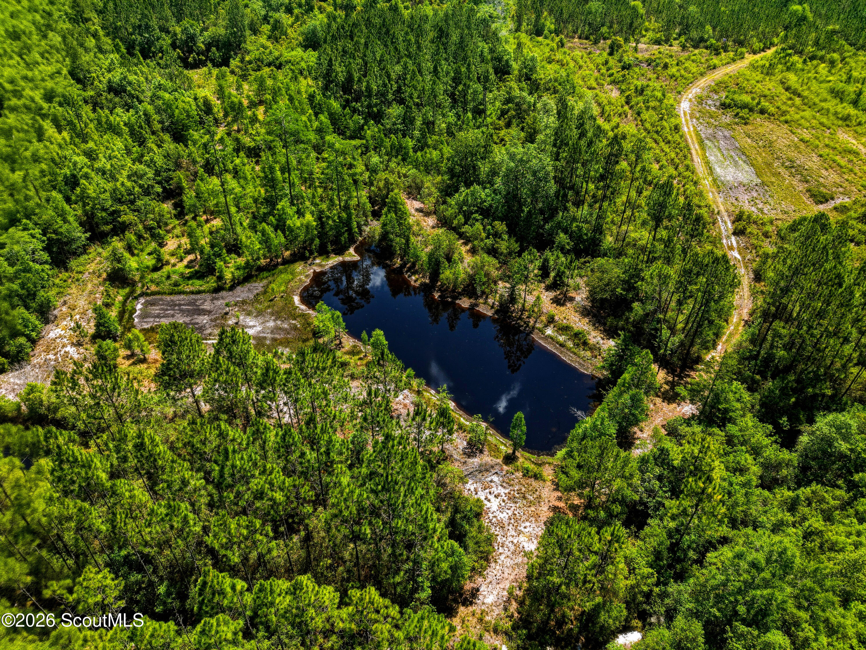 88 Minnesota Road Screven, GA 31560 - Photo 8 of 52
