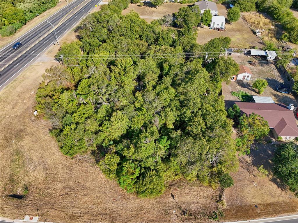 12906 Chapel Road Lorena, TX 76655 - Photo 10 of 16 Expansive wooded lot with mature trees, bordered by a paved road