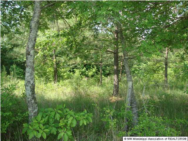 28 Rowell Road Coldwater, MS 38618 - Photo 1 of 2 Primary Photo