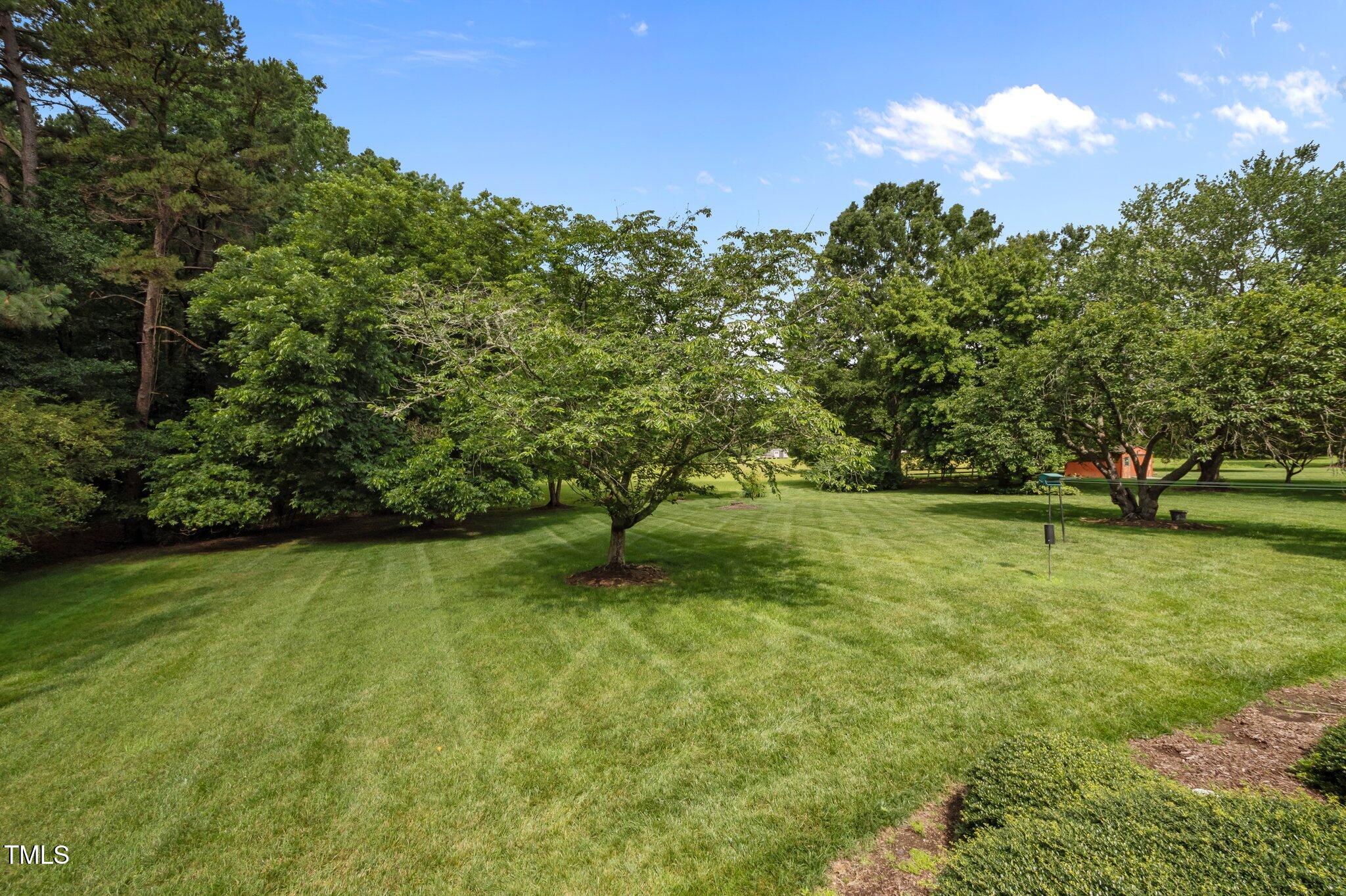 913 Milton Road Durham, NC 27712 - Photo 23 of 29 a view of yard with green space