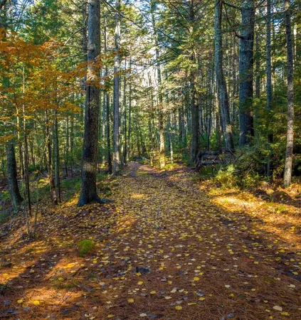 $1,300,000 | 440 Belfast Road, Unit INIO E1, Camden, ME 04843