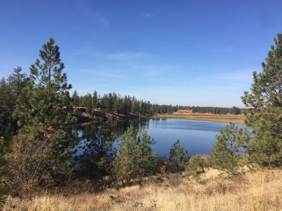 24029 West Kitt Road Reardan, WA 99029 - Photo 1 of 9