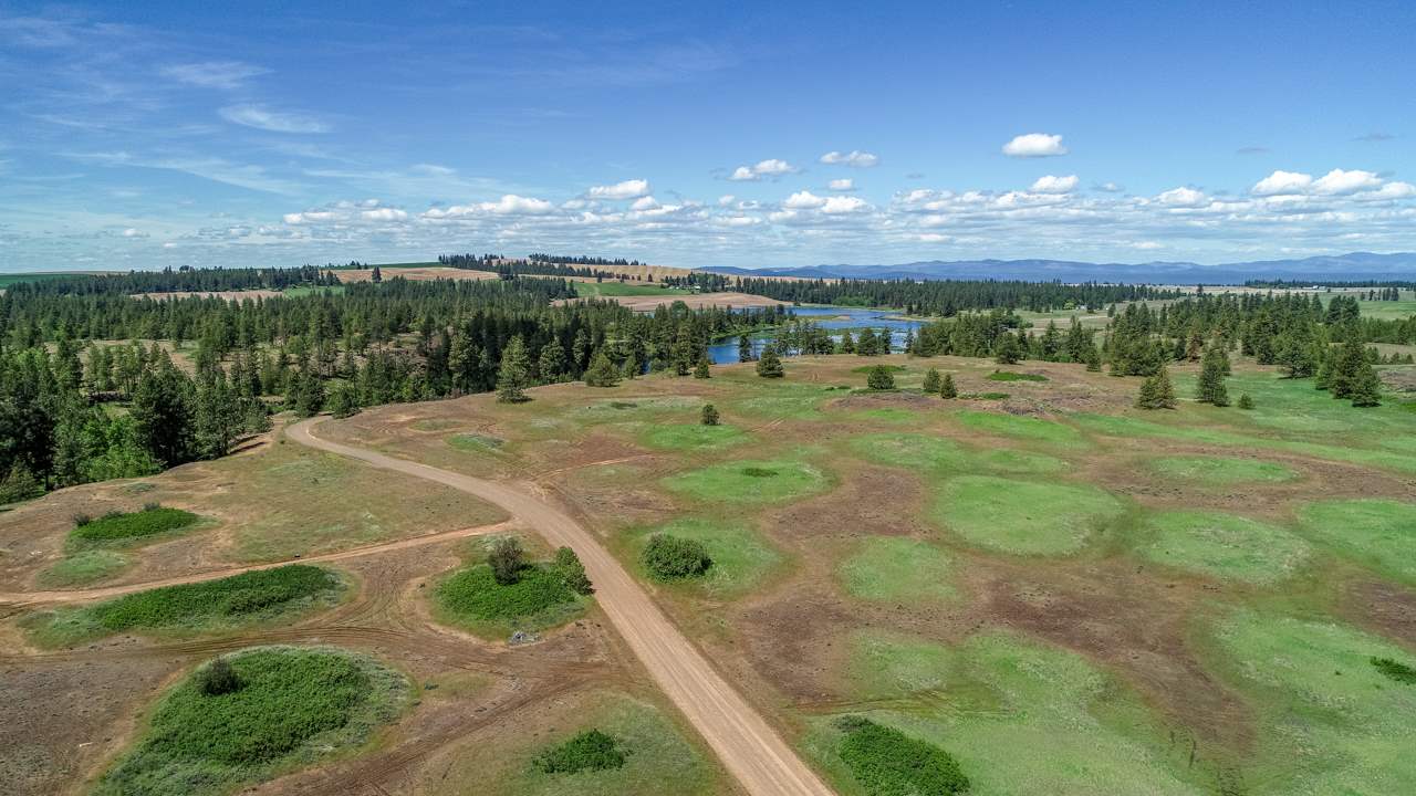 24029 West Kitt Road Reardan, WA 99029 - Photo 6 of 9