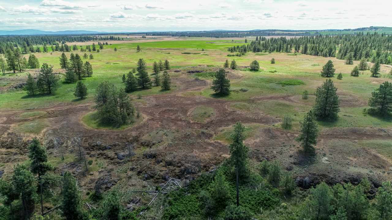 24029 West Kitt Road Reardan, WA 99029 - Photo 7 of 9
