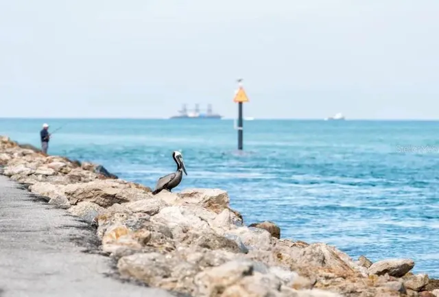 a spacious bedroom with a bed and a couch