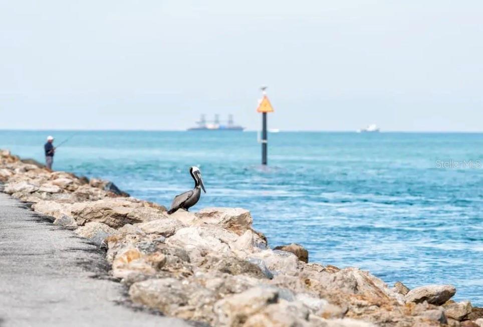 Undisclosed Address Venice, FL 34285 - Photo 32 of 63 a view of a ocean view