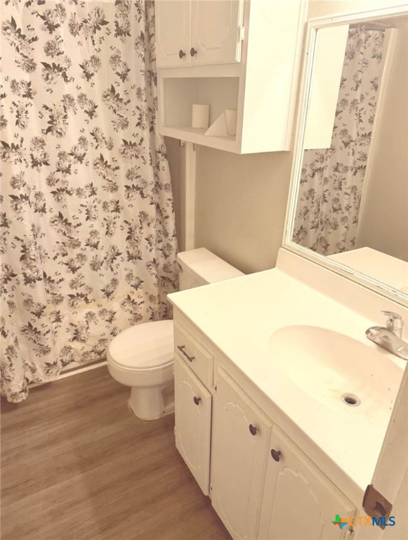 121 Regency Avenue Victoria, TX 77904 - Photo 5 of 6 a bathroom with a sink a toilet and a mirror