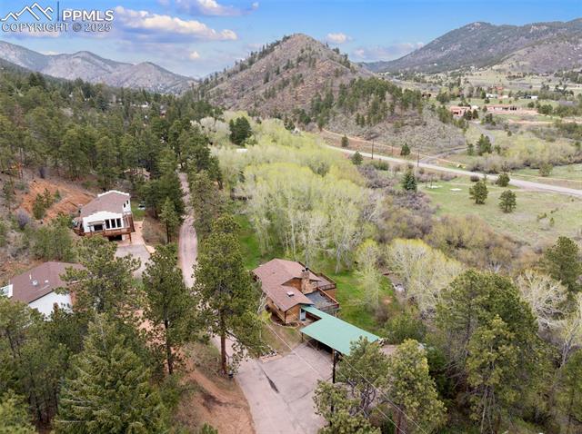 9850 Fountain Road Cascade, CO 80809 - Photo 44 of 48