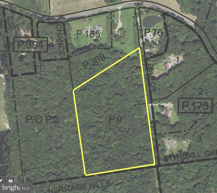 Bee Tree Road Henderson, MD 21640 - Photo 1 of 5 Awesome Woods for Hunting or Build your Home!