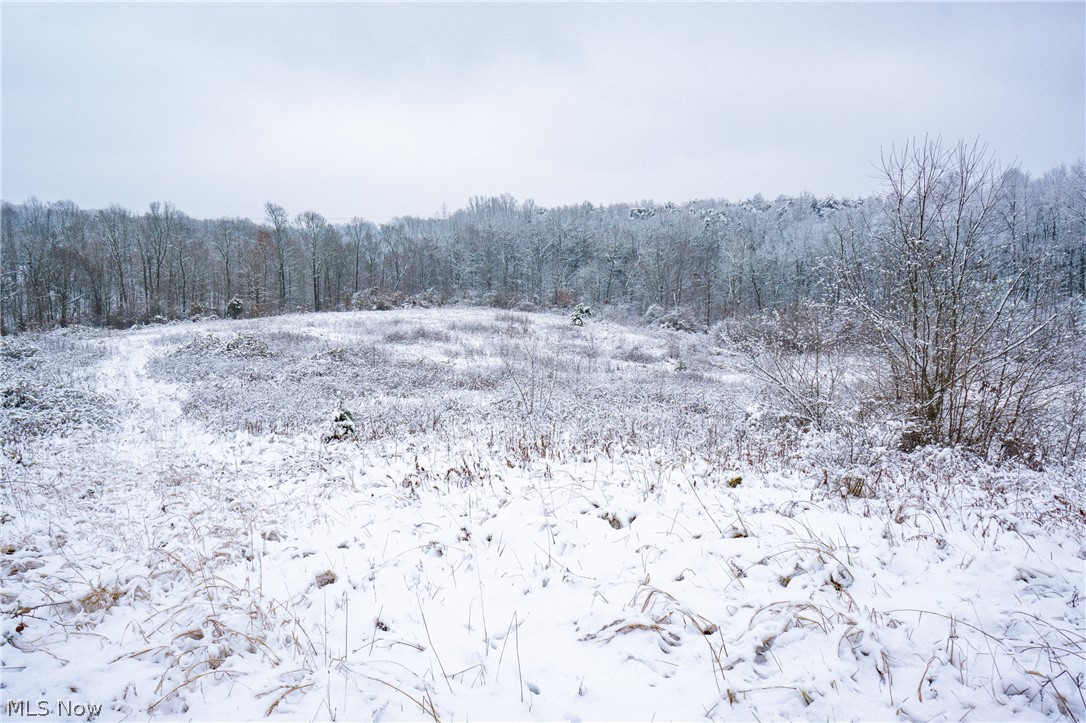 Ridge Road Coolville, OH 45723 - Photo 14 of 35 Gallery Image 14
