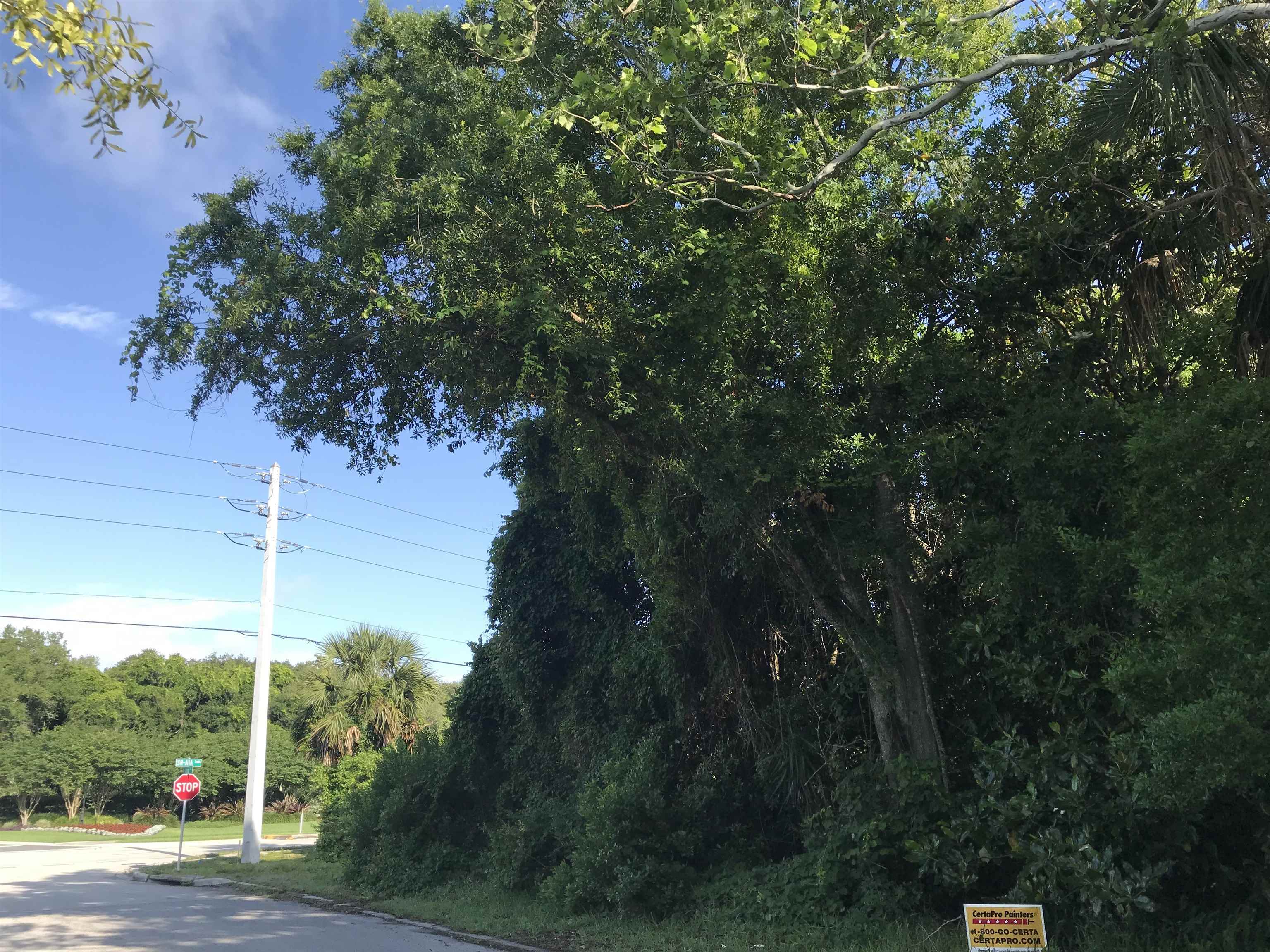 Madrid St Street St. Augustine, FL 32080 - Photo 6 of 9