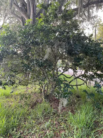 $285,000 | Madrid St Street, St. Augustine, FL 32080