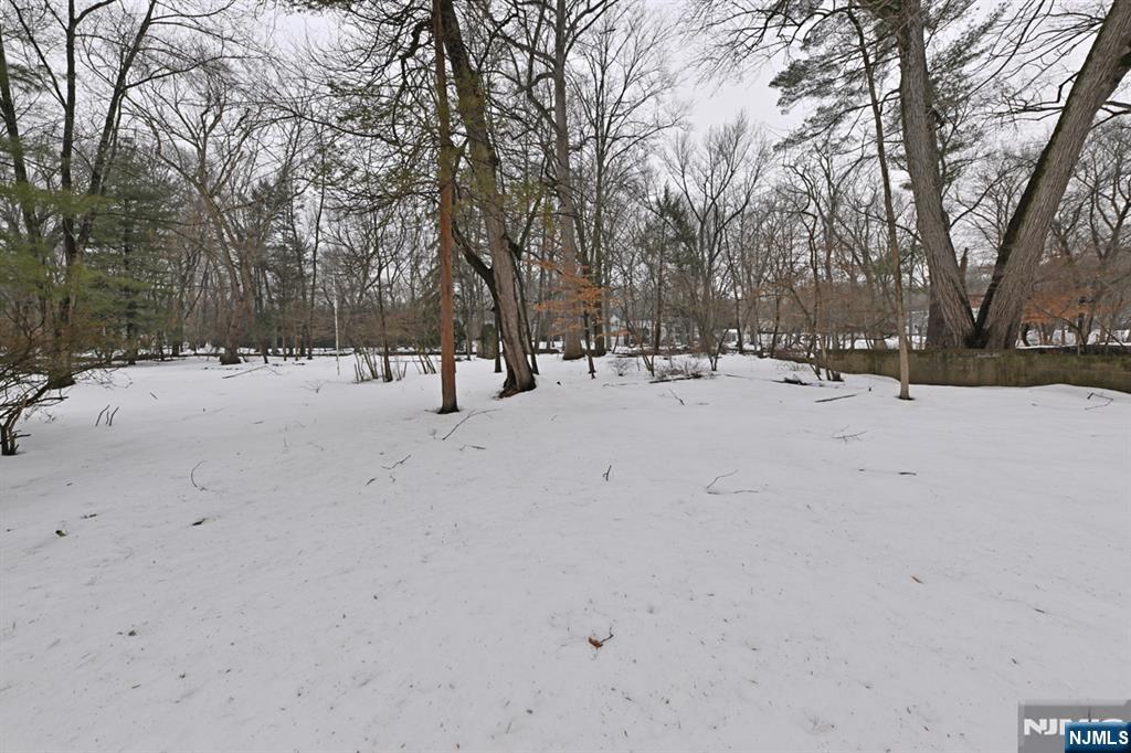 468 Old Tappan Road Old Tappan, NJ 07675 - Photo 30 of 44