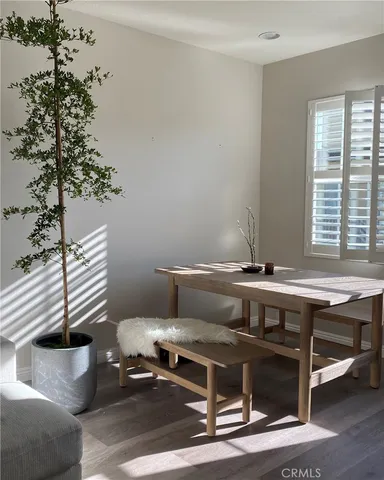 a living room with a couch and a potted plant