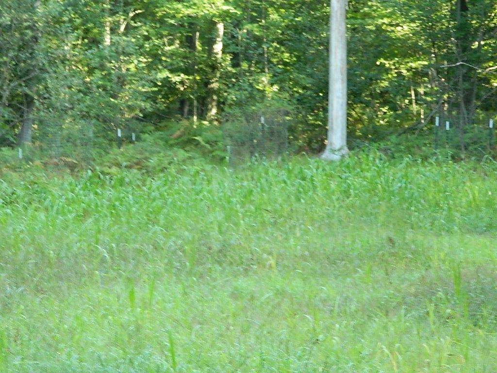 Tbd South Coldwater Road Blanchard, MI 49310 - Photo 2 of 8