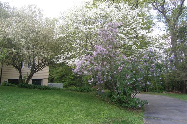 25 Jeffrey Road Wayland, MA 01778 - Photo 15 of 16 a view of a back yard