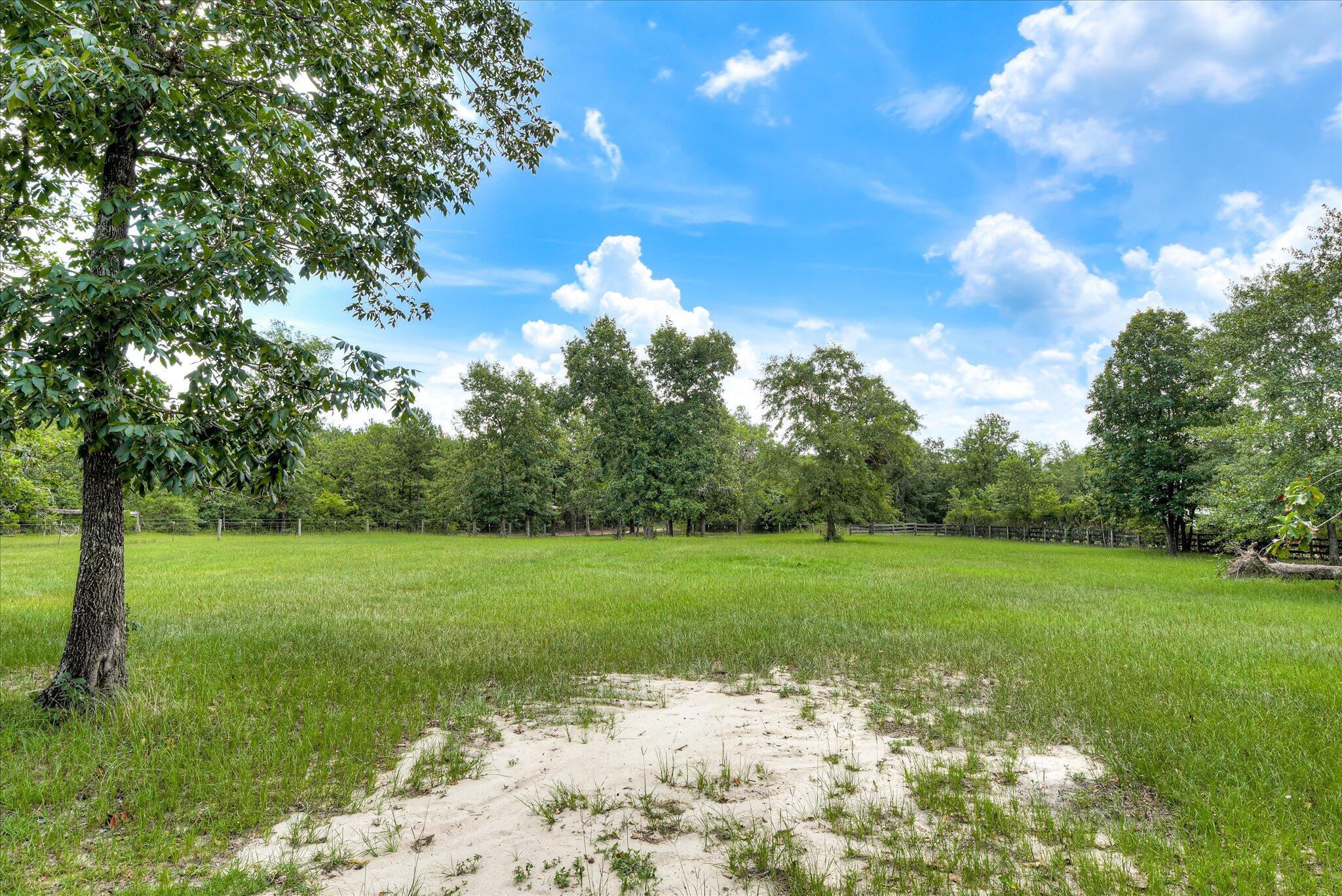 4820 Columbia Highway North Ridge Spring, SC 29129 - Photo 53 of 69