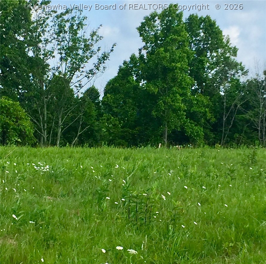 0 Jim Ridge Road Liberty, WV 25124 - Photo 25 of 29 Gallery Image 25