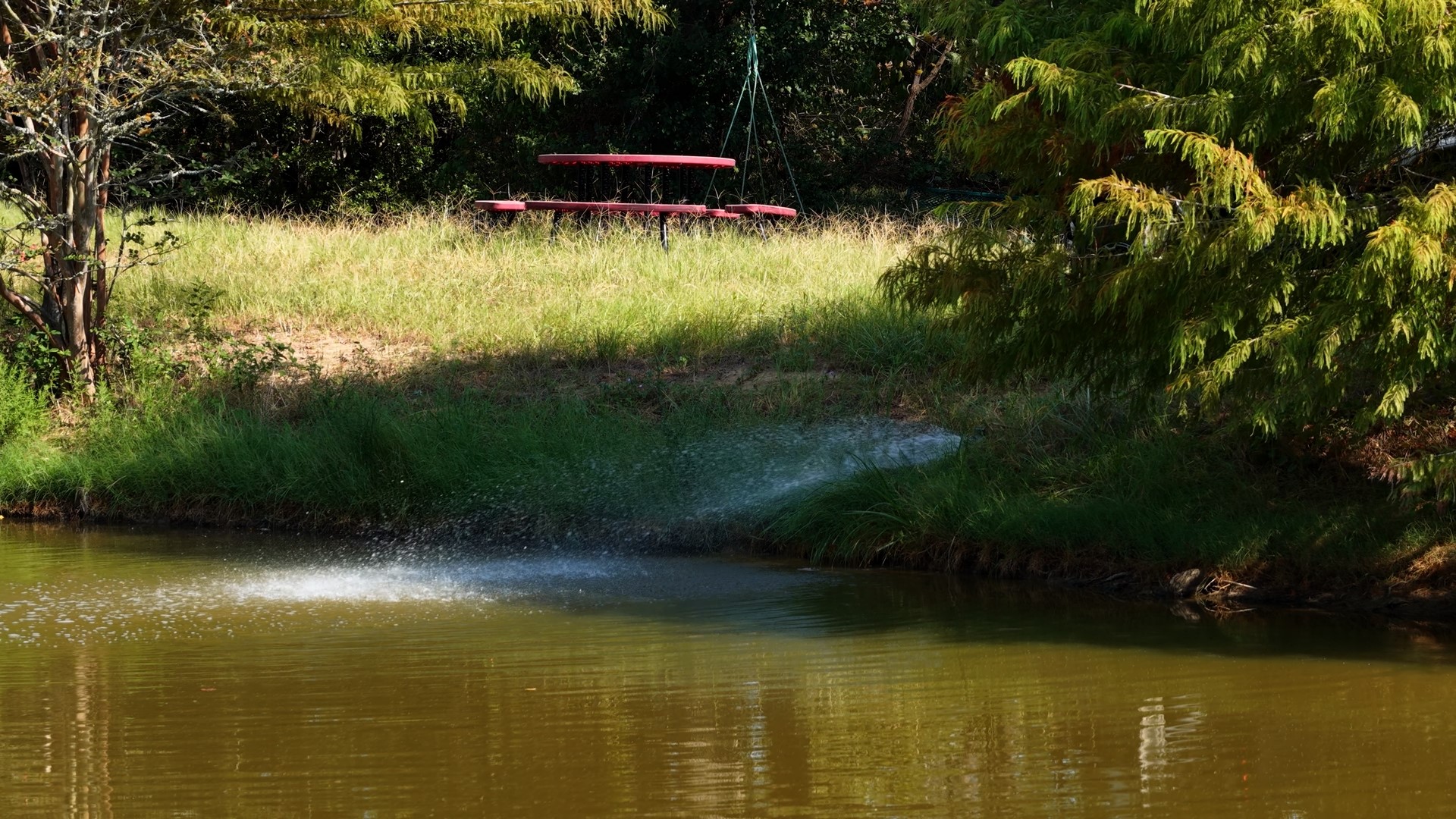218 Little Ranch Road Red Rock, TX 78662 - Photo 4 of 33 Mature trees frame a quiet pond on this serene and spacious property.