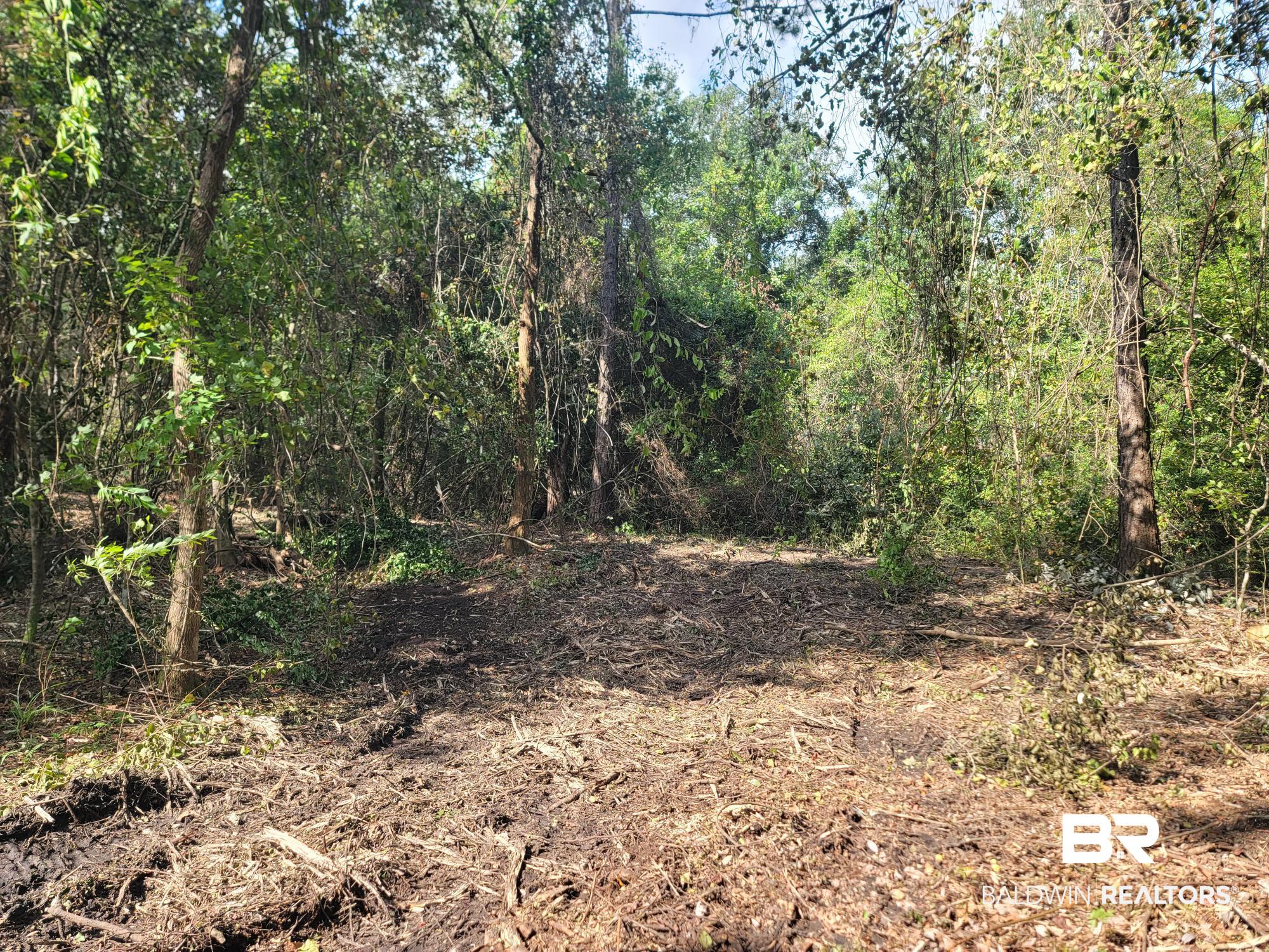 21373 Ima Brill Road Robertsdale, AL 36567 - Photo 10 of 25 Gallery Image 10