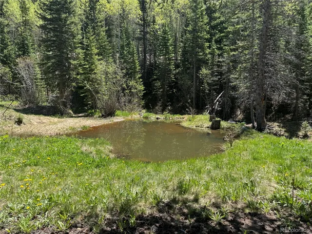 a view of a tree in a yard