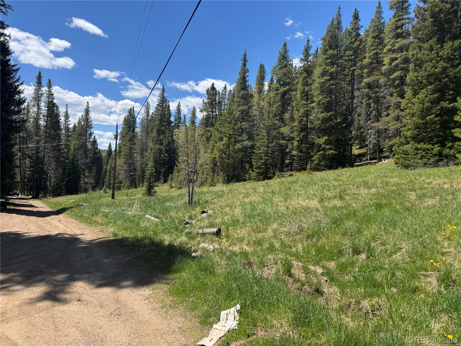 4568 Apex Valley Road Idaho Springs, CO 80452 - Photo 5 of 29 a view of a yard with trees in the background