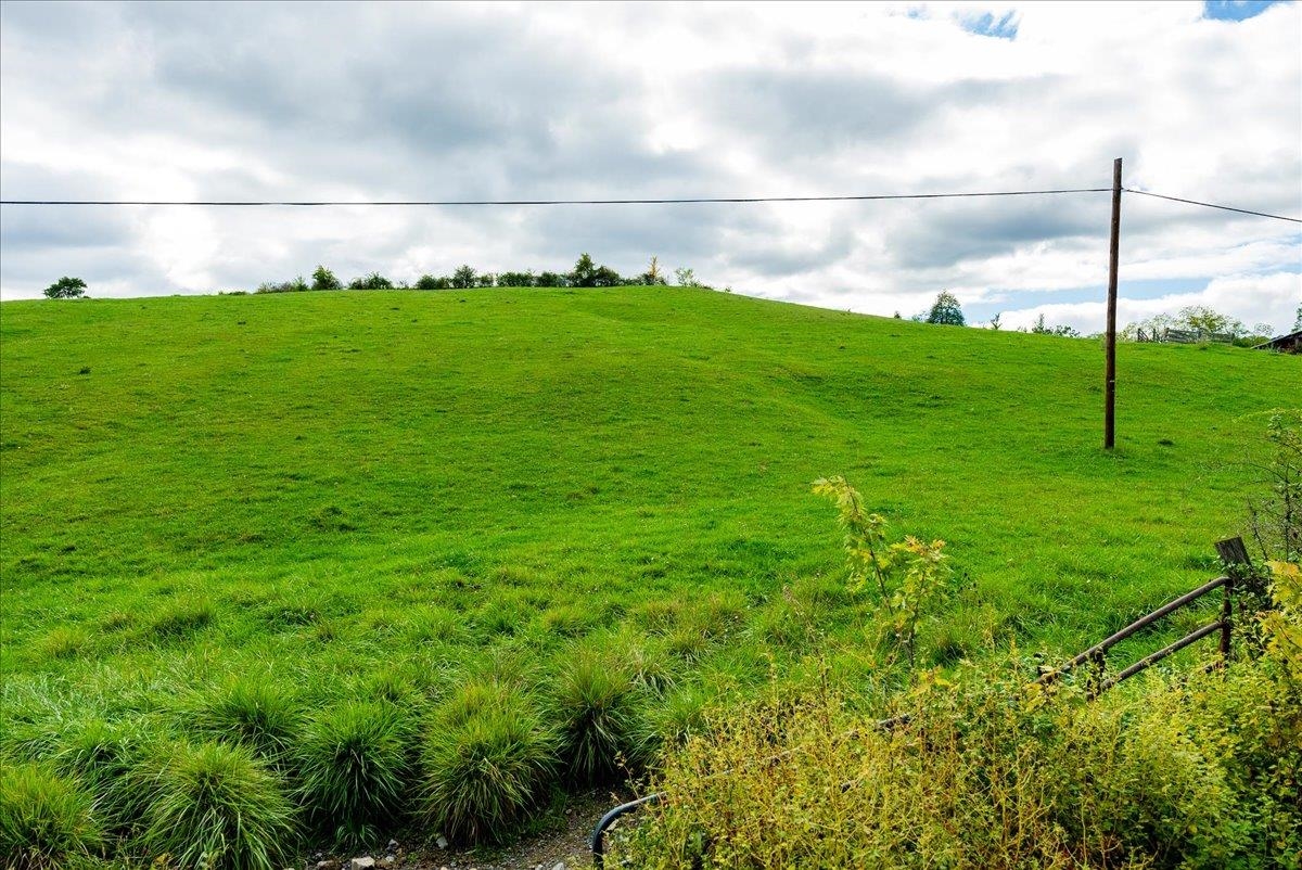 Tbd Knupp Road Timberville, VA 22853 - Photo 9 of 11