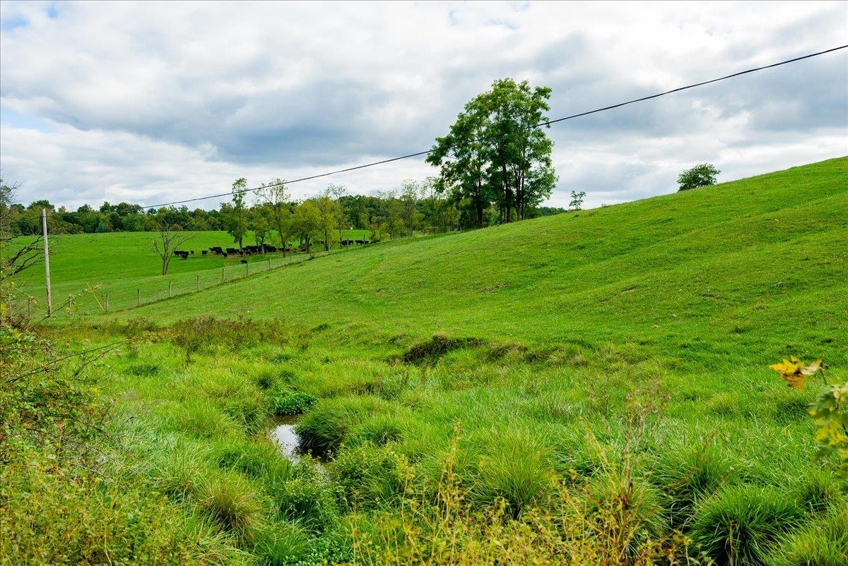 Tbd Knupp Road Timberville, VA 22853 - Photo 10 of 11