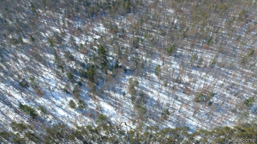 8879 9 Mile Bridge Road Manistee, MI 49660 - Photo 27 of 34
