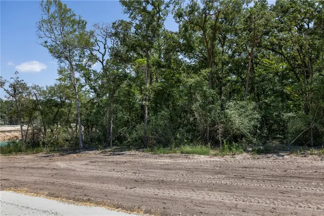 a view of a yard and a house in background