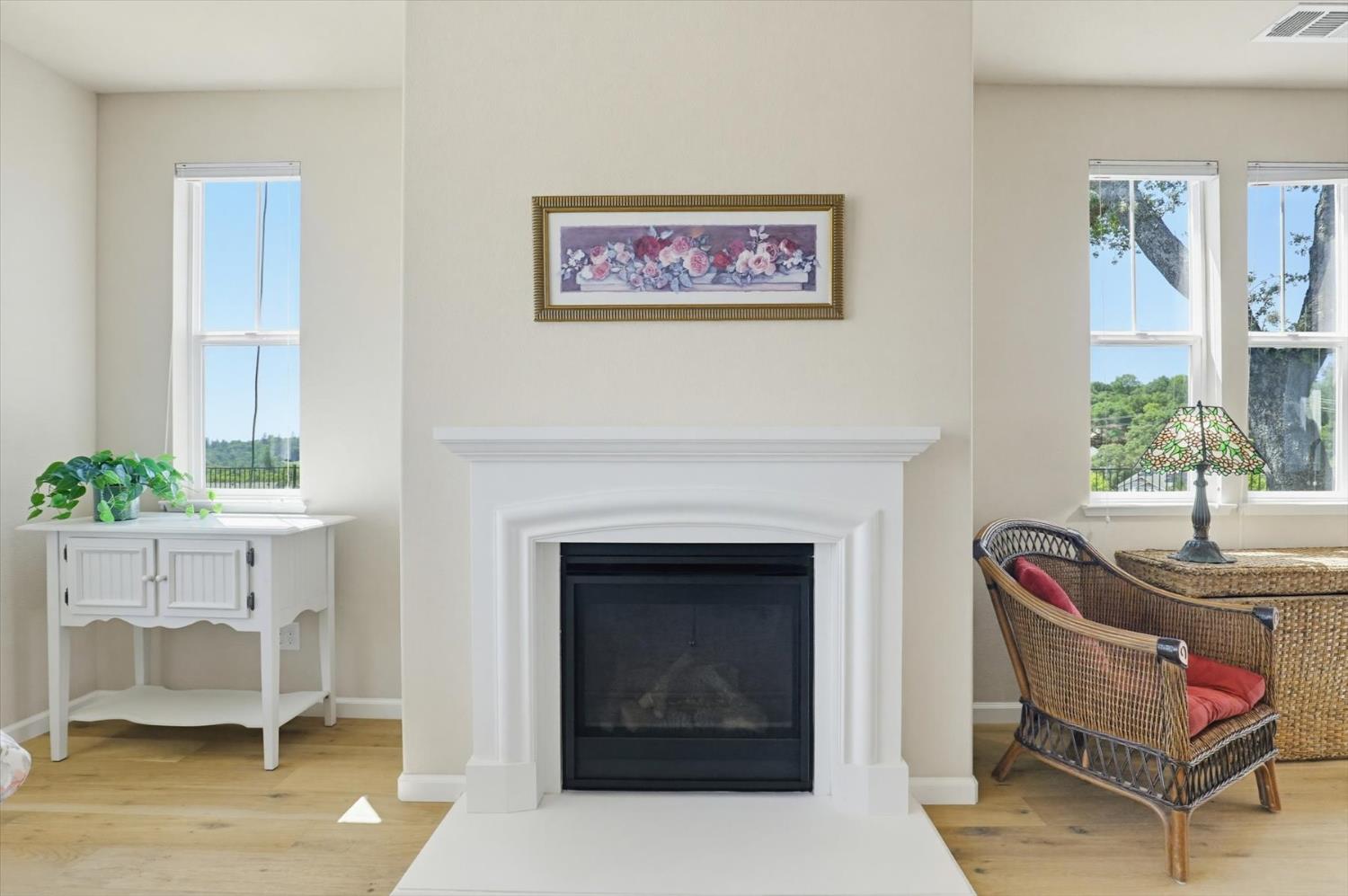 21456 Rucker Court Grass Valley, CA 95949 - Photo 9 of 74 a living room with furniture a fireplace and a potted plant