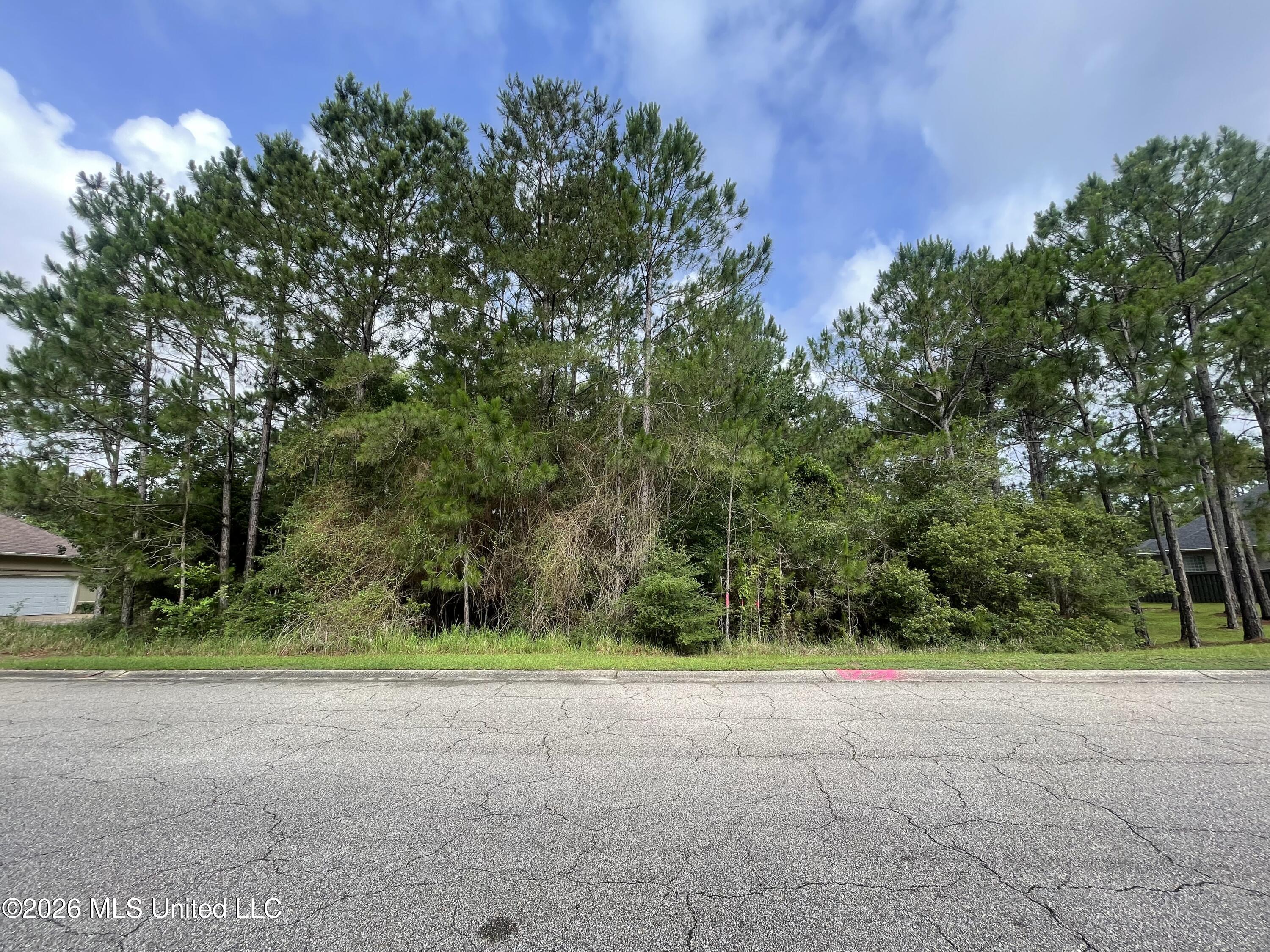 Shell Boulevard Gautier, MS 39553 - Photo 10 of 12 IMG_5370 (1)