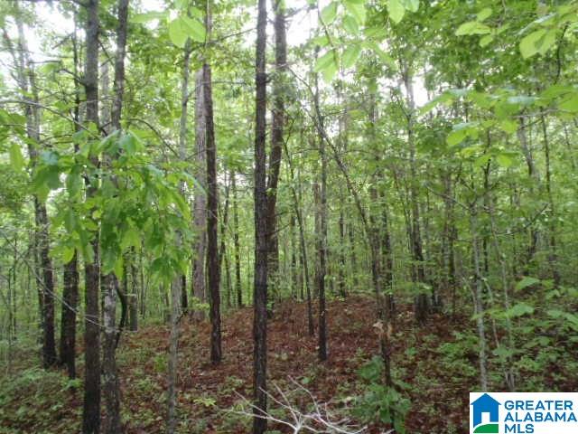 0 Shocco Springs Road, Unit 40 5 AC Talladega, AL 35160 - Photo 27 of 30