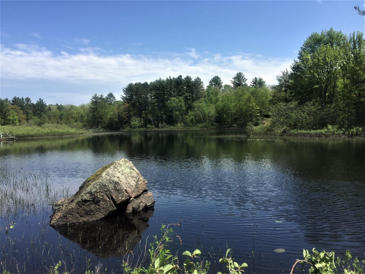 Lot 6 Fish Lake Lane Rhinelander, WI 54501 - Photo 1 of 10 Gallery Image 1