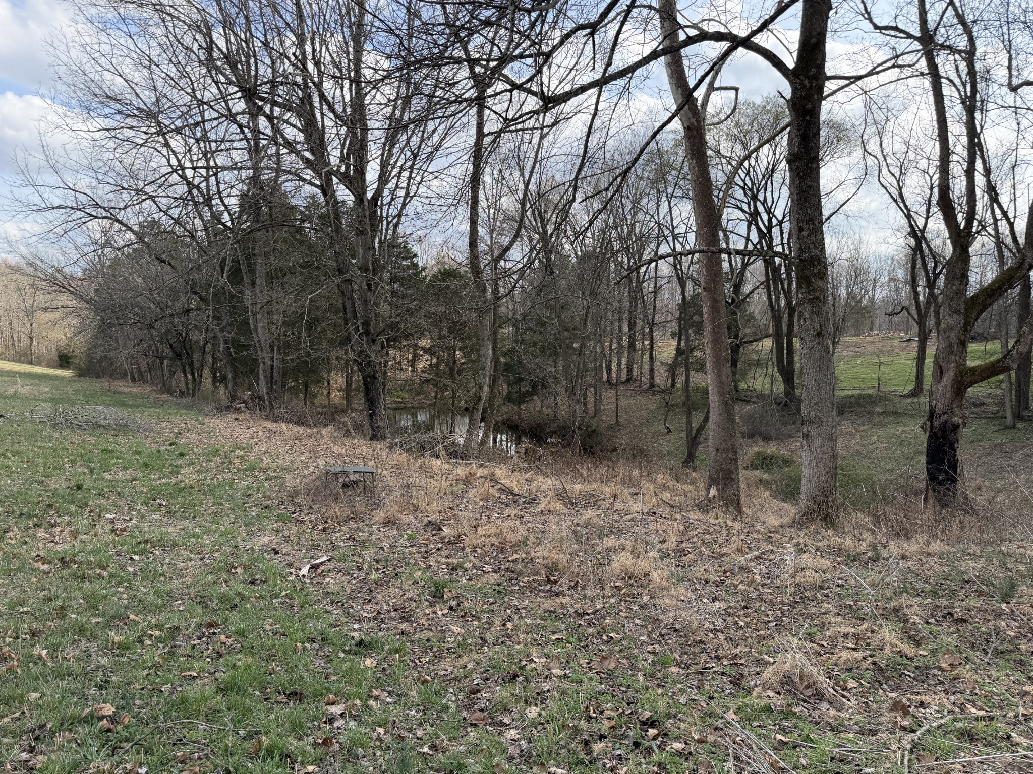 10974 Galen Road Lafayette, TN 37083 - Photo 11 of 14