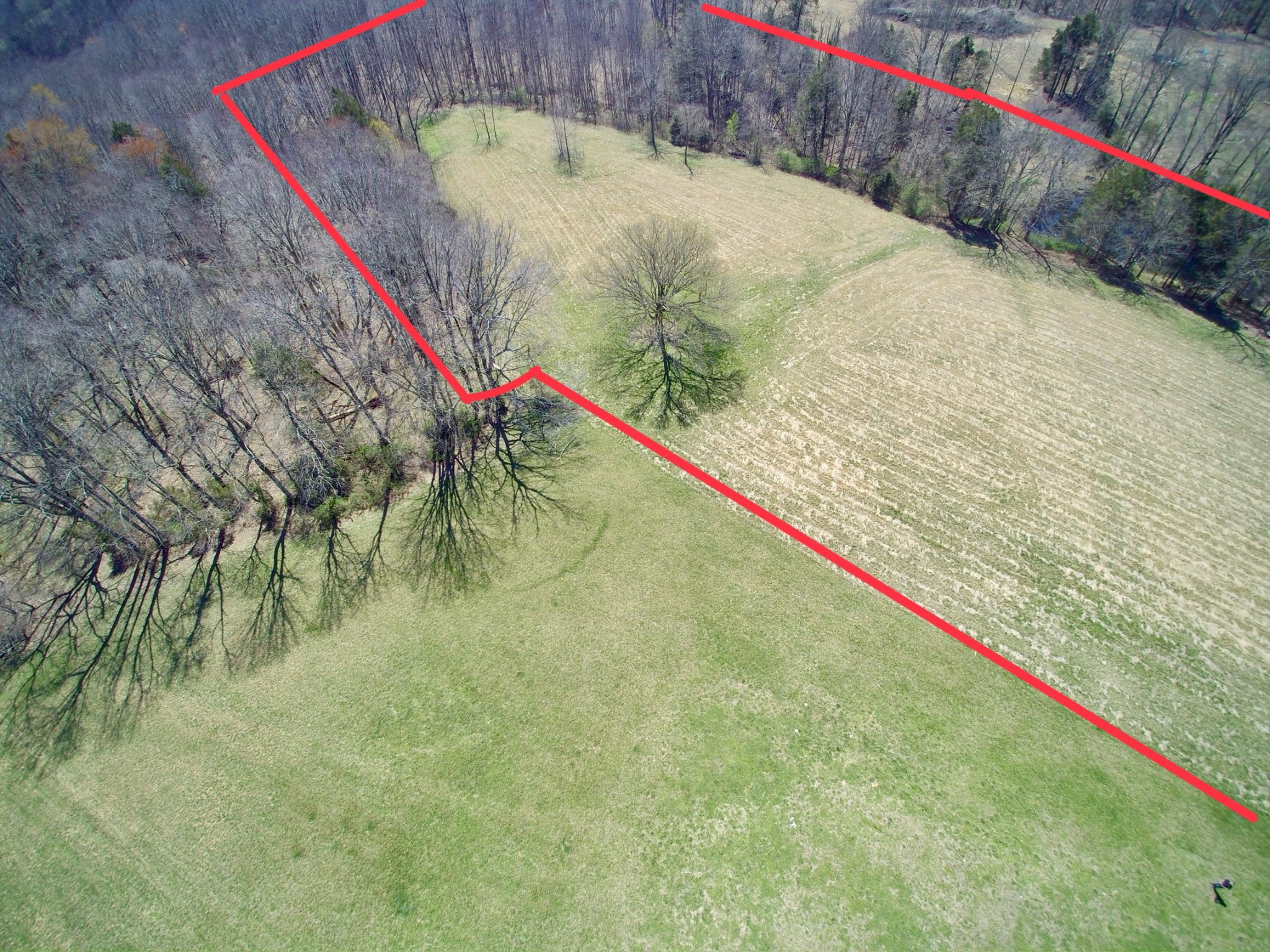 10974 Galen Road Lafayette, TN 37083 - Photo 6 of 14